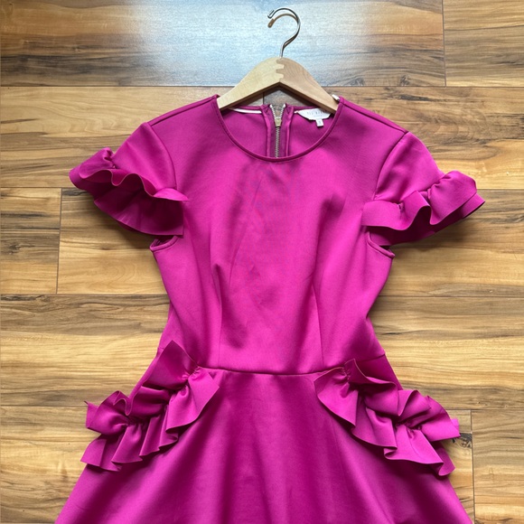 TED BAKER  Pink Ruffle Dress - Picture 3 of 9
